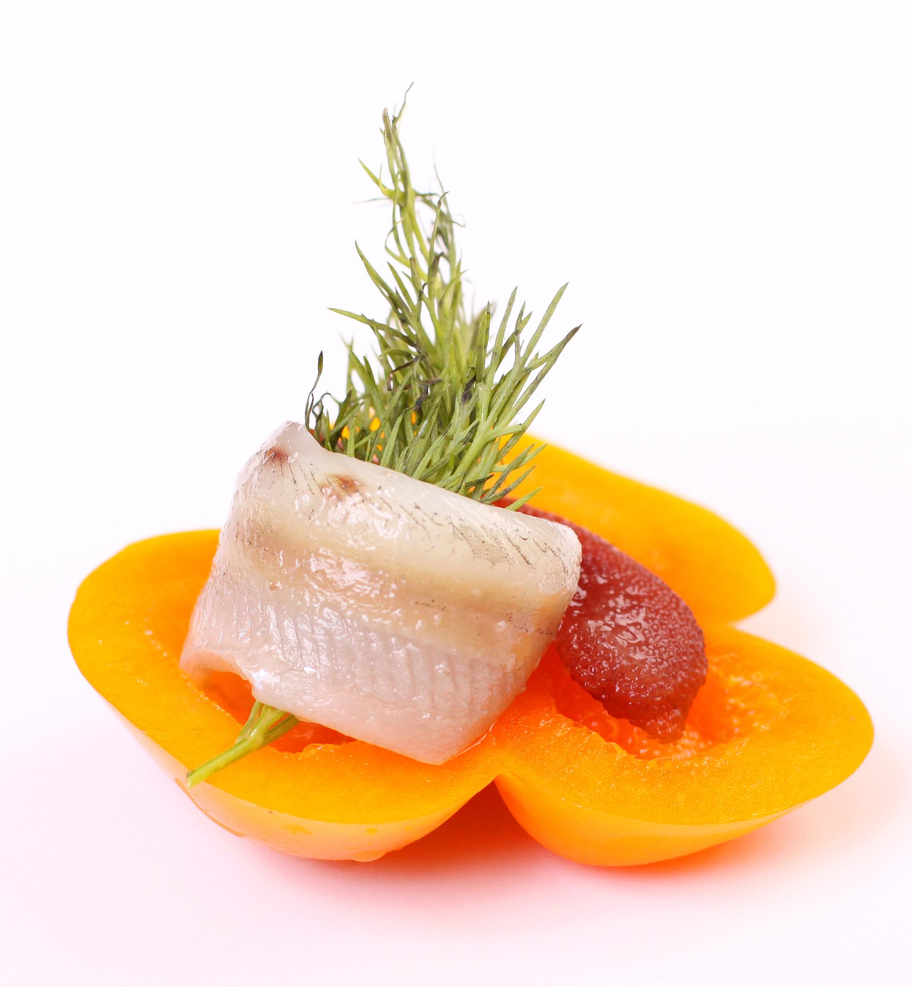 Close-up on hand-seared fish with modern garnish